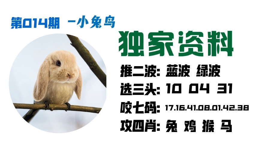 014期小兔鸟[图]